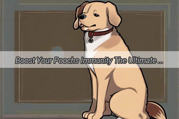 Boost Your Poochs Immunity The Ultimate PreVaccine Medication Guide